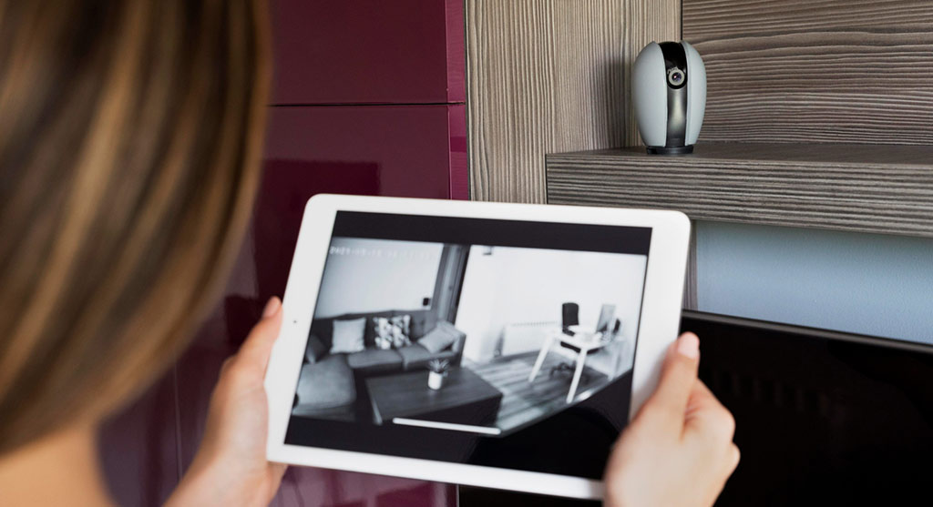 Benefits of Professional Security Systems​