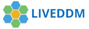 673269b4b77205dd3ea97976_liveddm_logo-e1699477679294-300x98